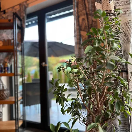 公寓 Tri Chalupky Na Myte Mýto pod Ďumbierom